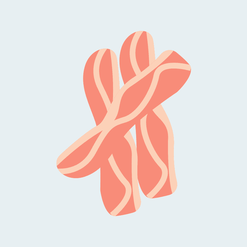 Design-Your-Own Pizza - Image 14